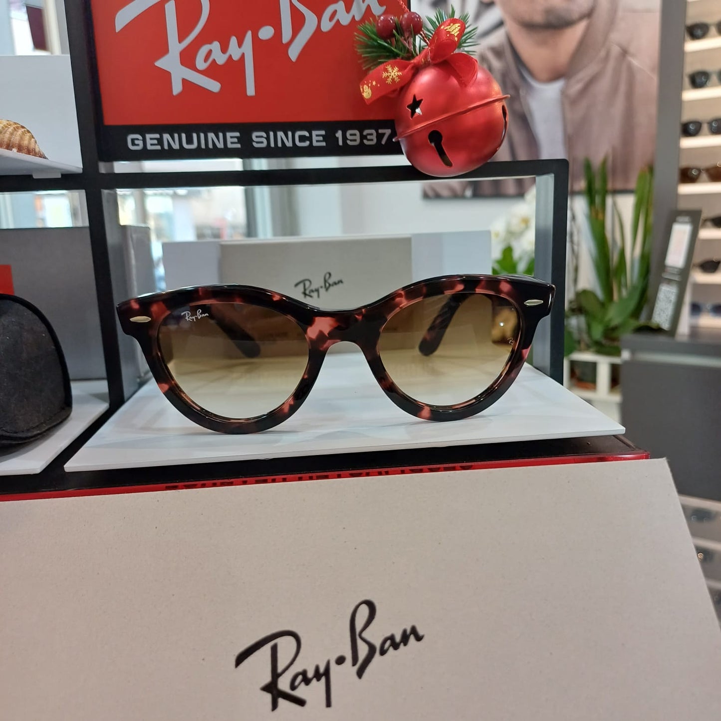 Ray-Ban Güneş Gözlüğü RB 2241 1334/51
