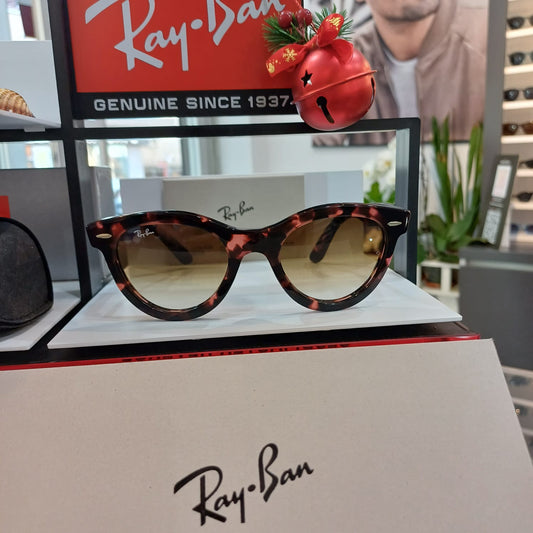 Ray-Ban Güneş Gözlüğü RB 2241 1334/51