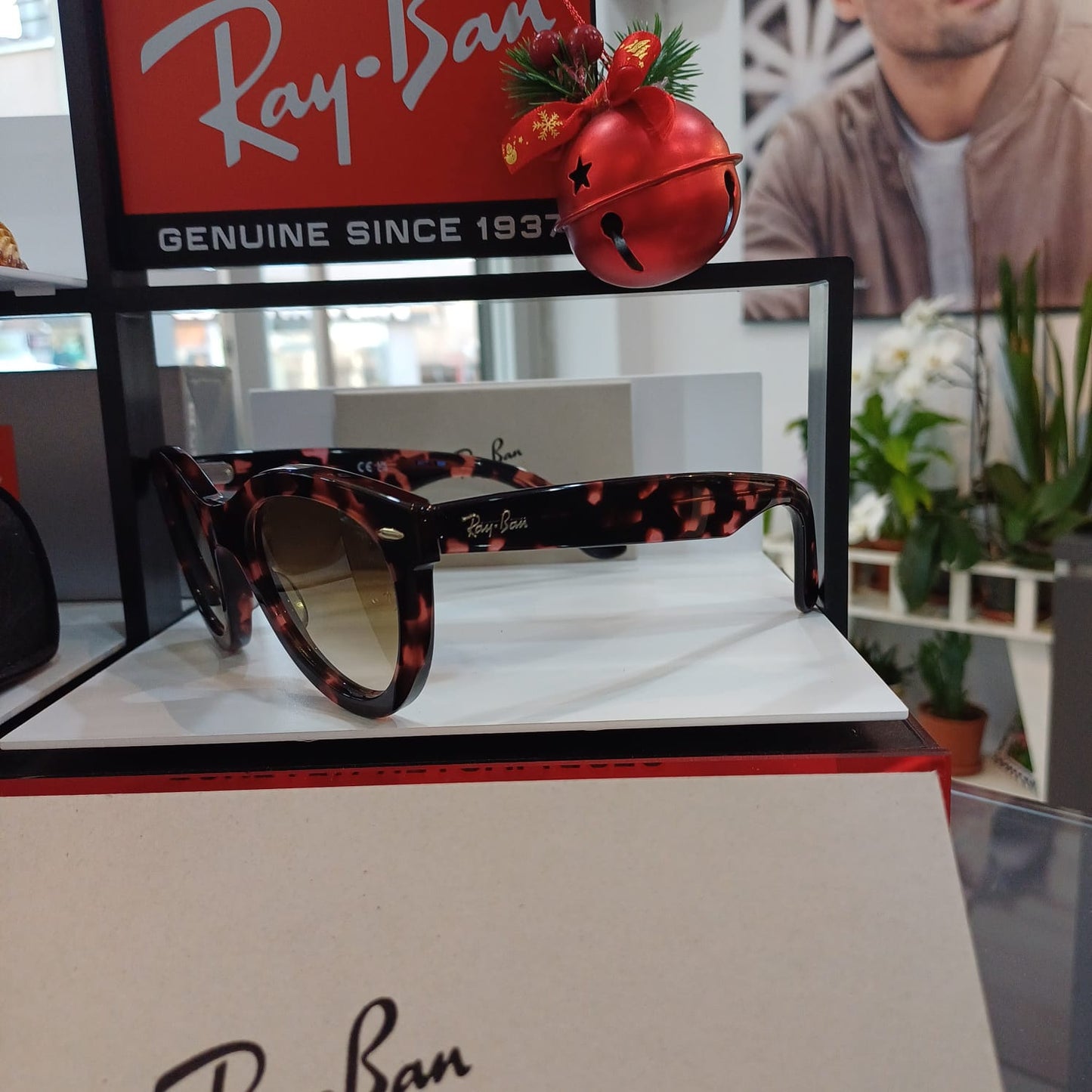 Ray-Ban Güneş Gözlüğü RB 2241 1334/51